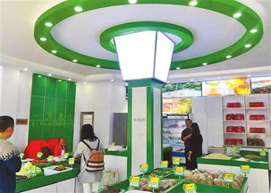 昭通電子商務產業健康有序發展