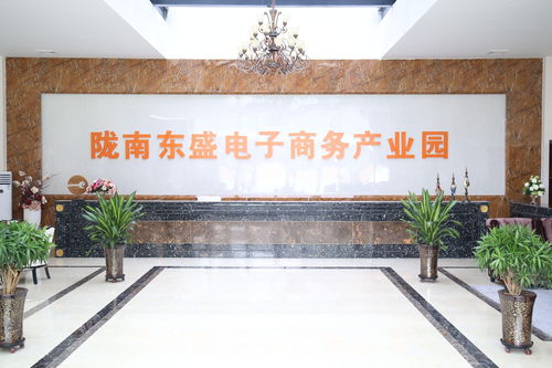 隴南東盛農(nóng)產(chǎn)品電子商務